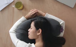 Aubergine Pillow media 3