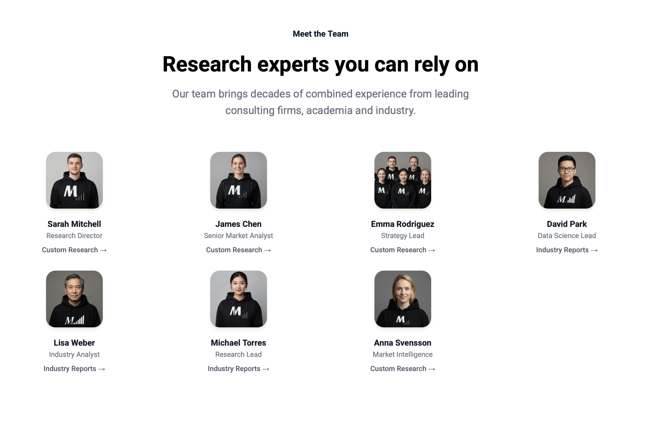 Worldmetrics Market Research & Data - Screenshot 3 showing product features and functionality