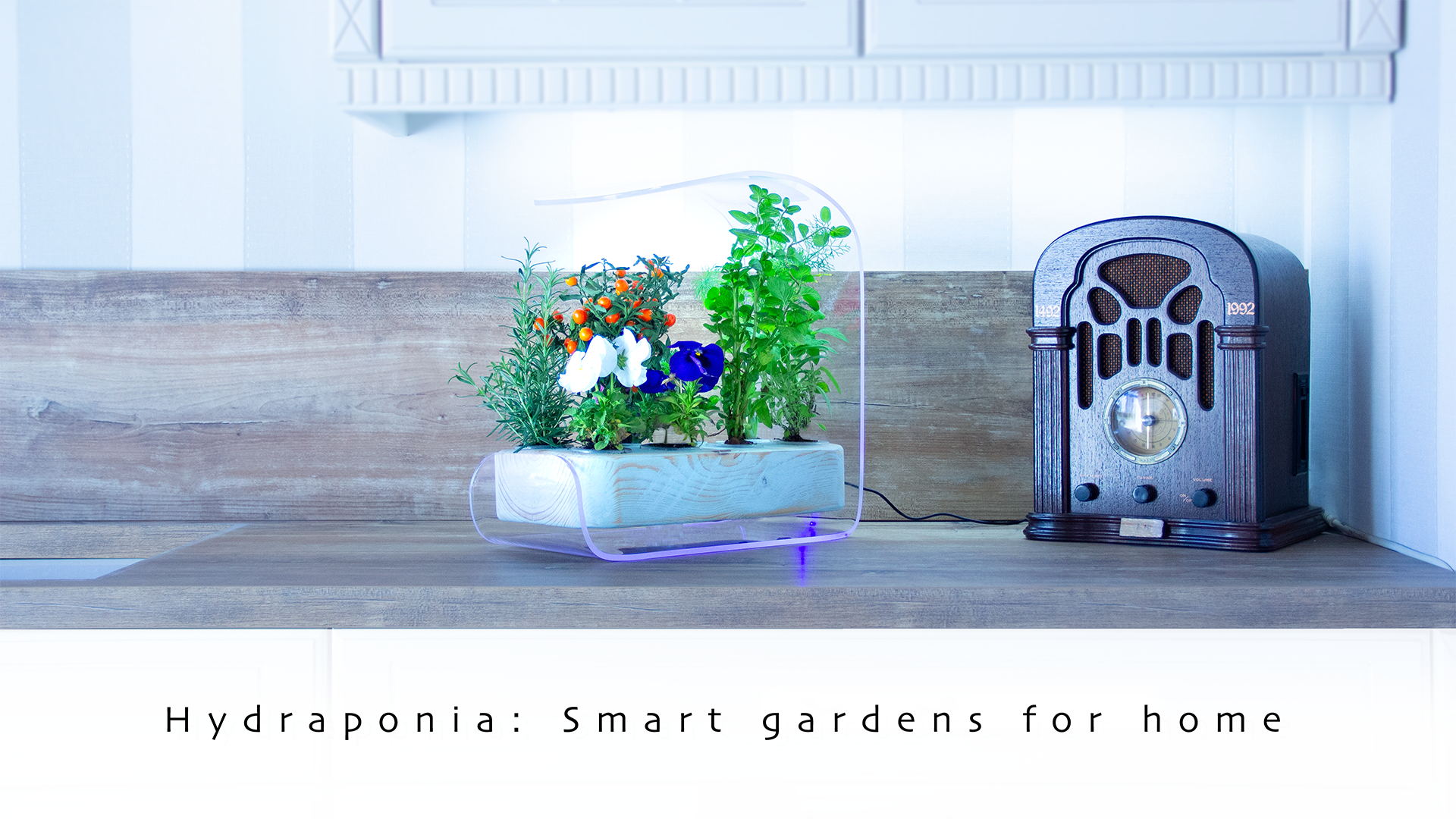 Hydraponia gallery image