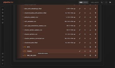 Pipette.bio gallery image