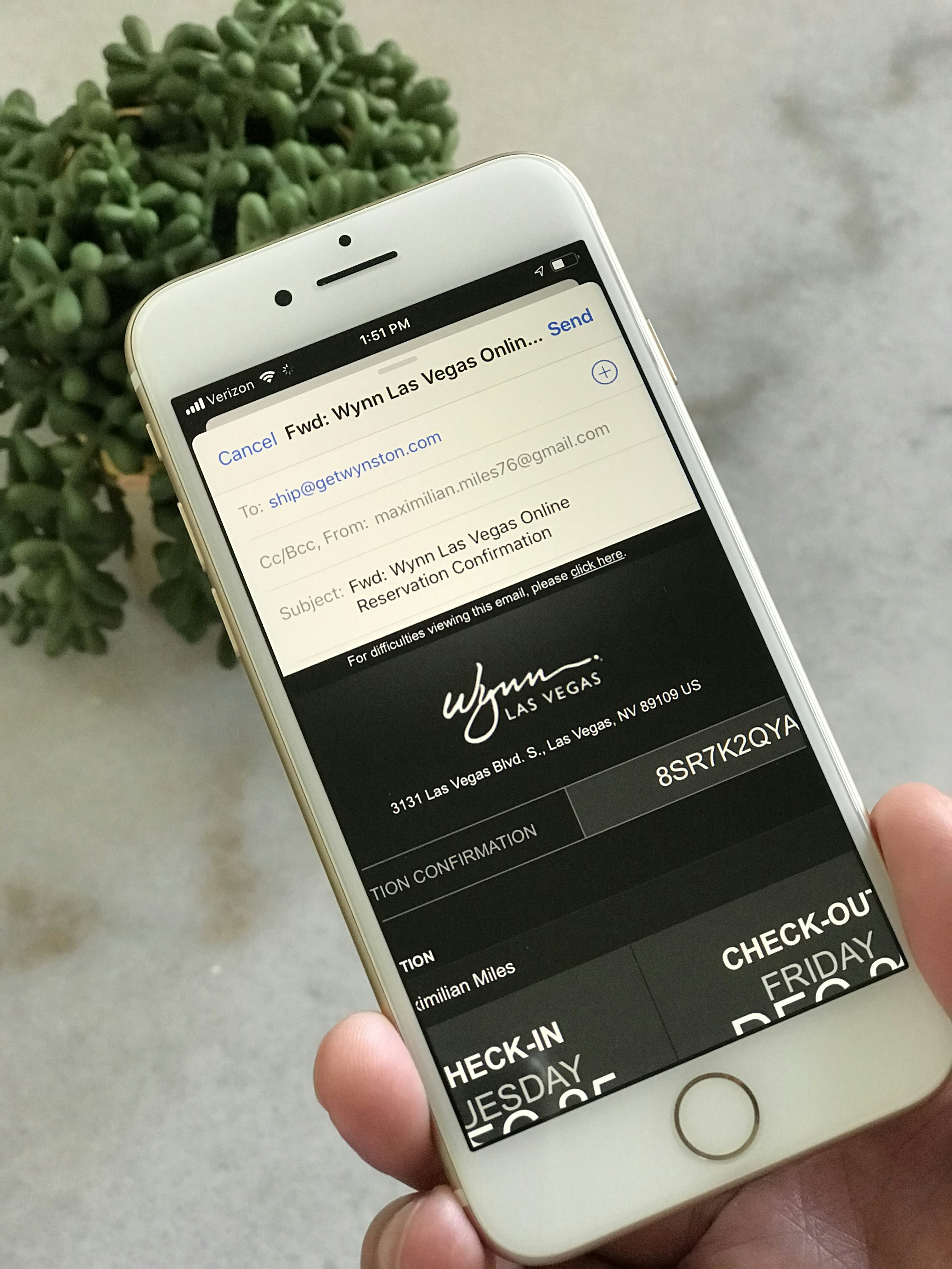 Wynston gallery image