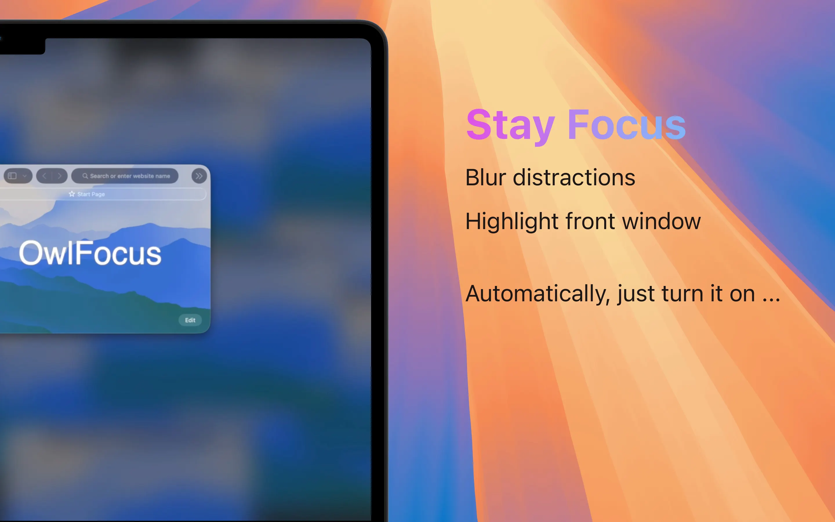 OwlFocus gallery image