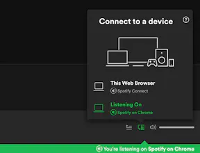 Spotify on Browser gallery image