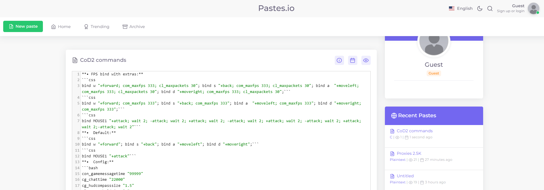 Pastes.io gallery image