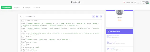 Pastes.io gallery image