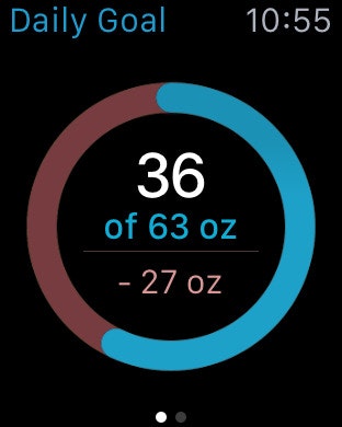 H2O-Pal gallery image