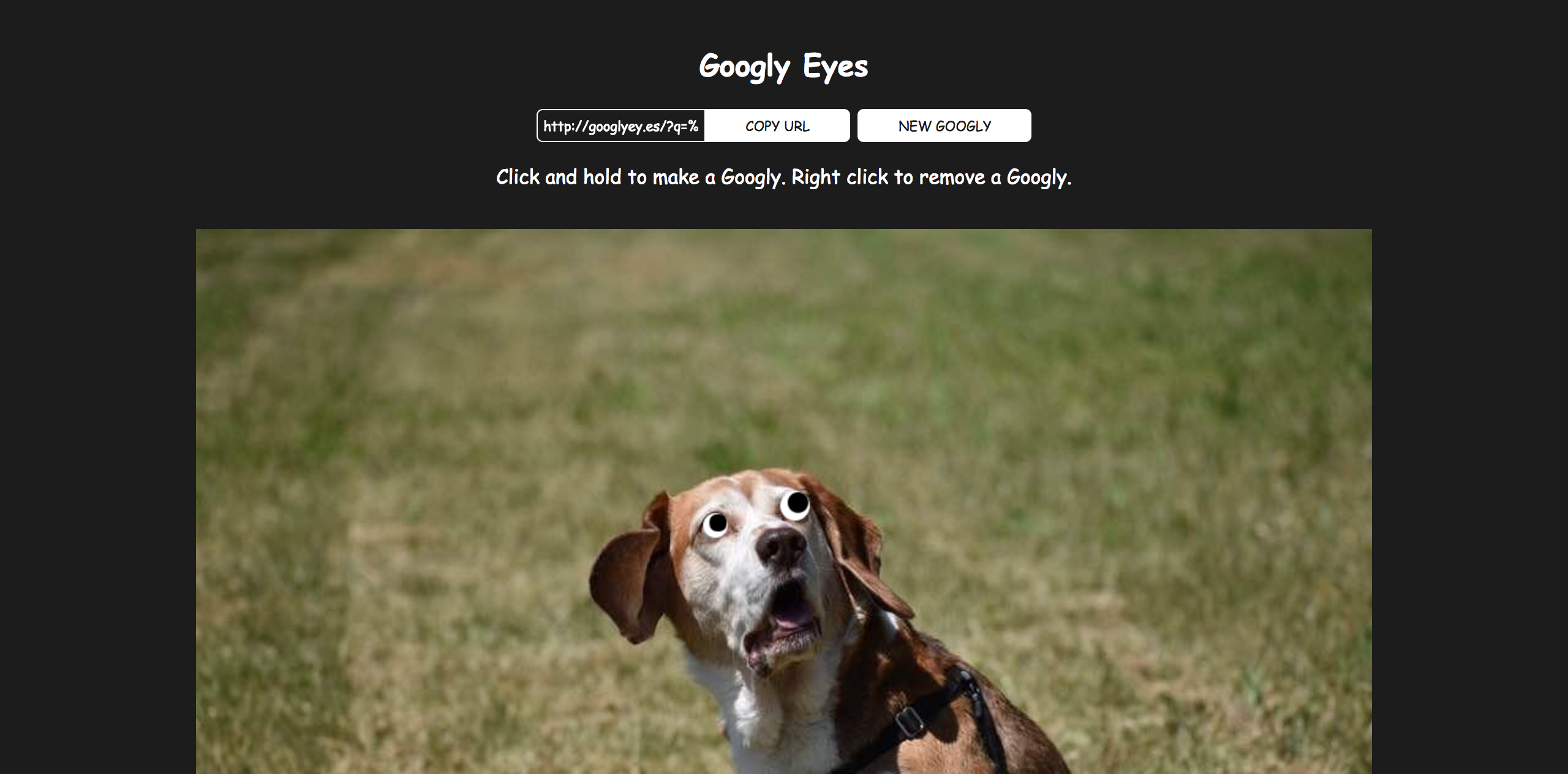 GooglyEy.es gallery image