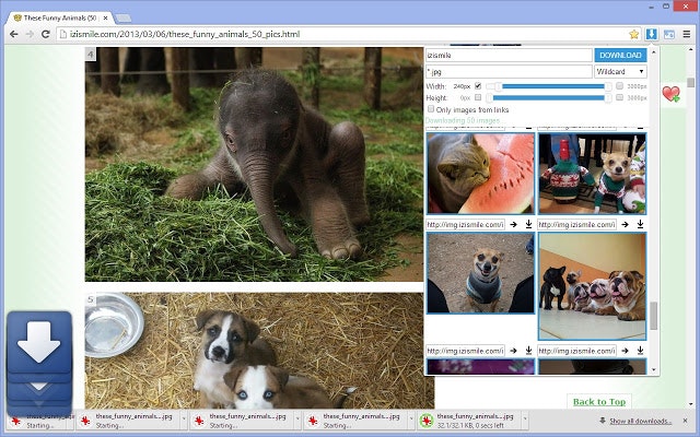 Image Downloader gallery image
