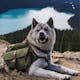 Wolf Republic Ranger Dog Backpack