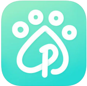 Pet Canvas
