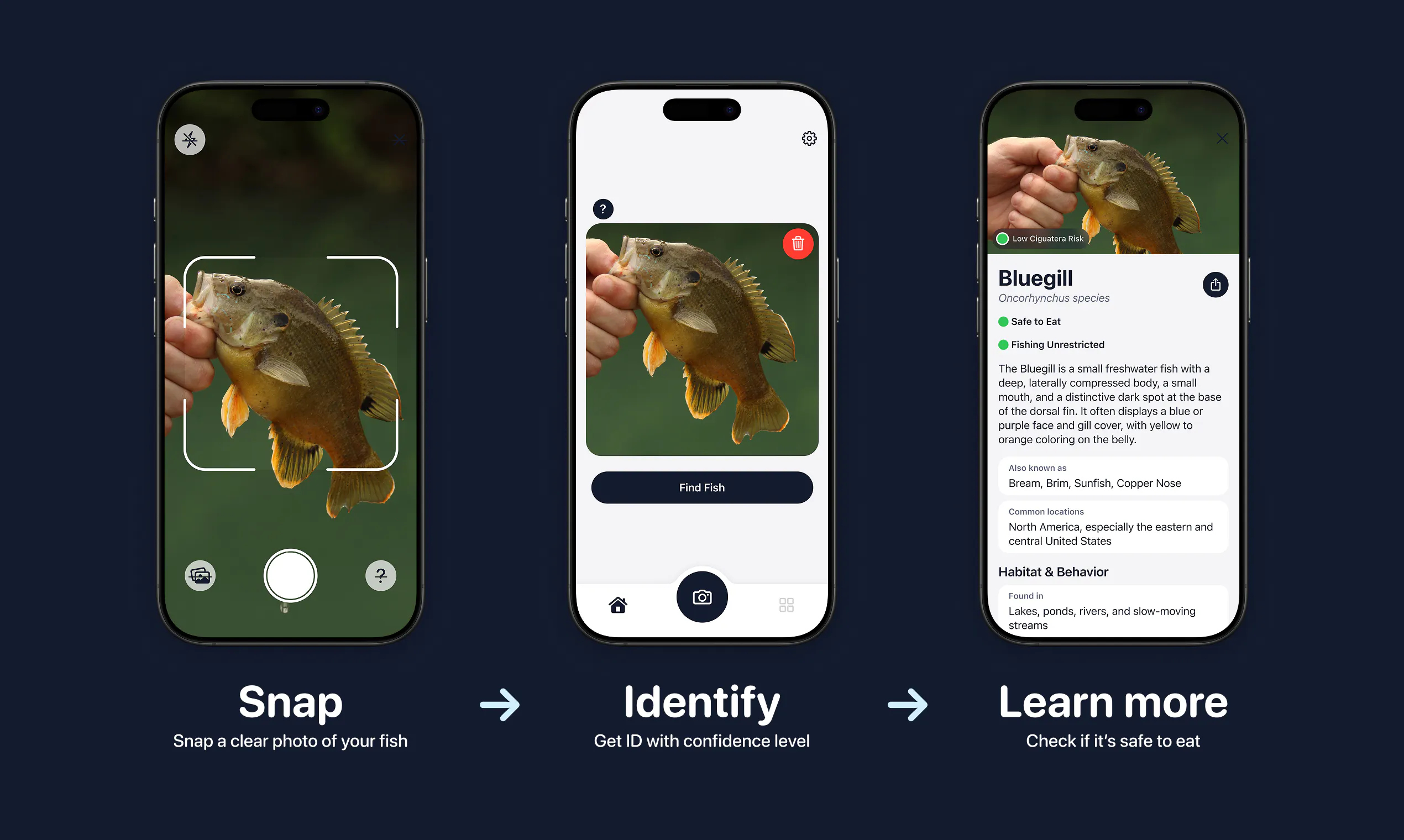 FishPic gallery image