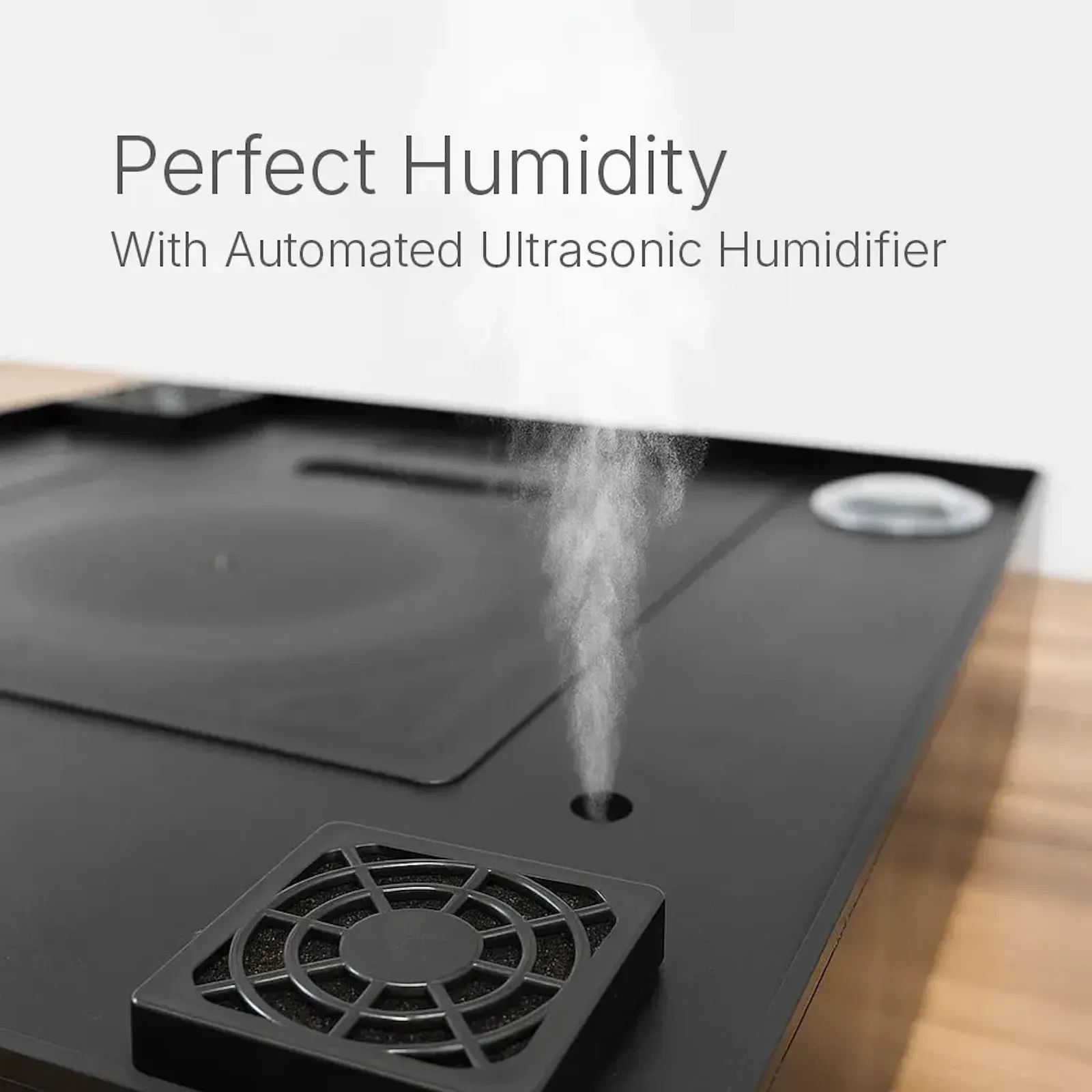 Lykyn Smart Mushroom Grow Box screenshot 9