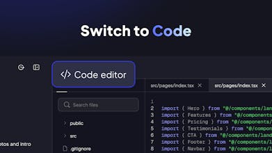 Vibe for WordPress by 10Web gallery image