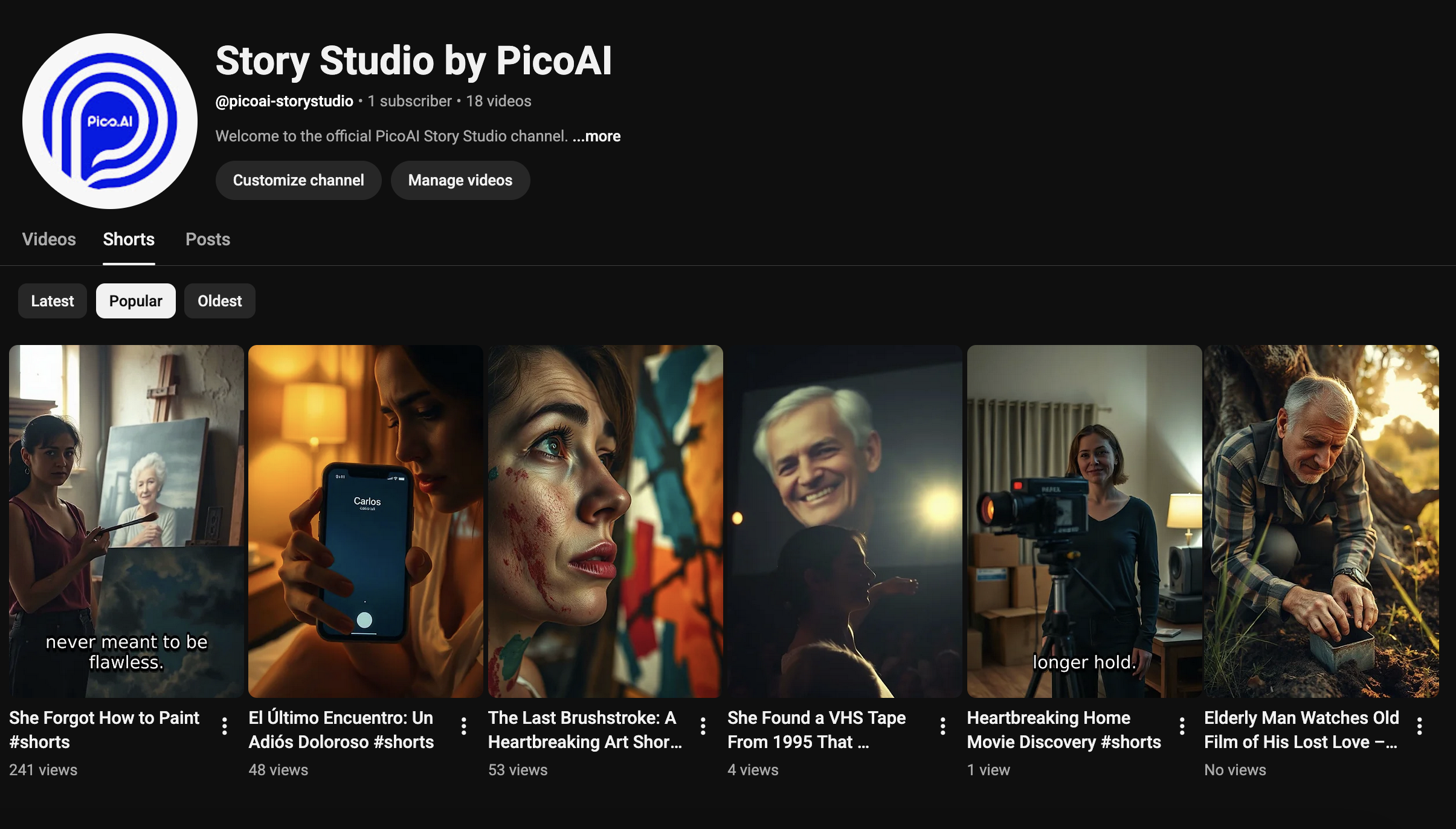 PicoAI Story Studio gallery image