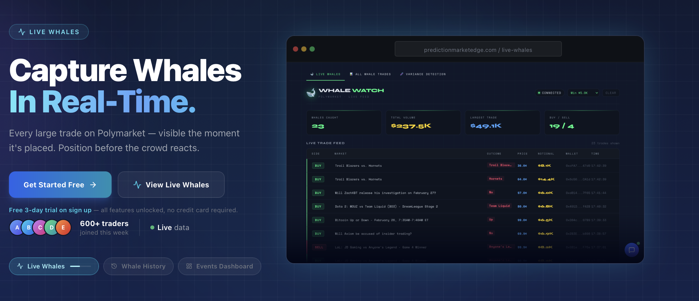 Prediction Market Whales  gallery image