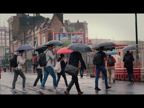 Gilley gallery image