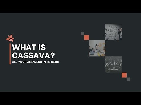 Cassava gallery image