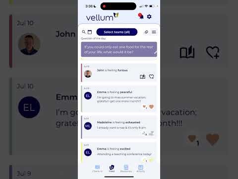 vellum gallery image