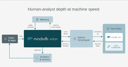 MindsDB Anton gallery image