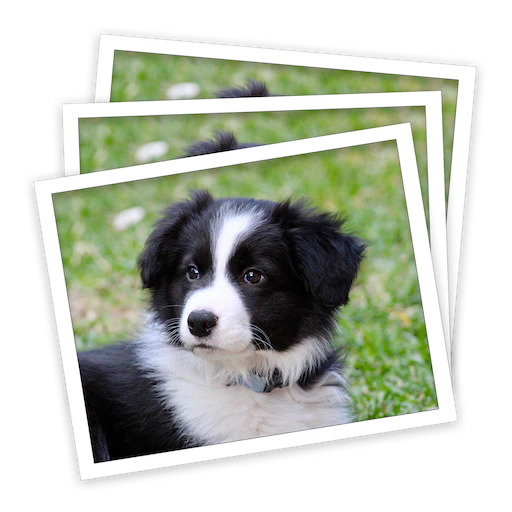 Max Photo Copy Finder