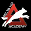 Delta K9 Academy
