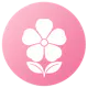 quickflowerdelivery.com