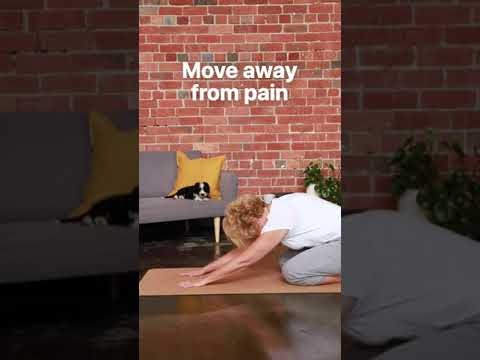 BodyGuide gallery image