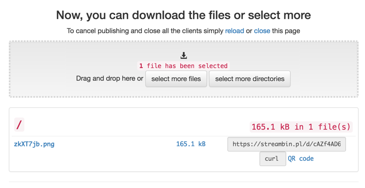 StreamBIN gallery image