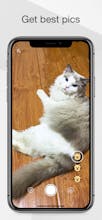 MeowCam-Play sound attract pet attention gallery image