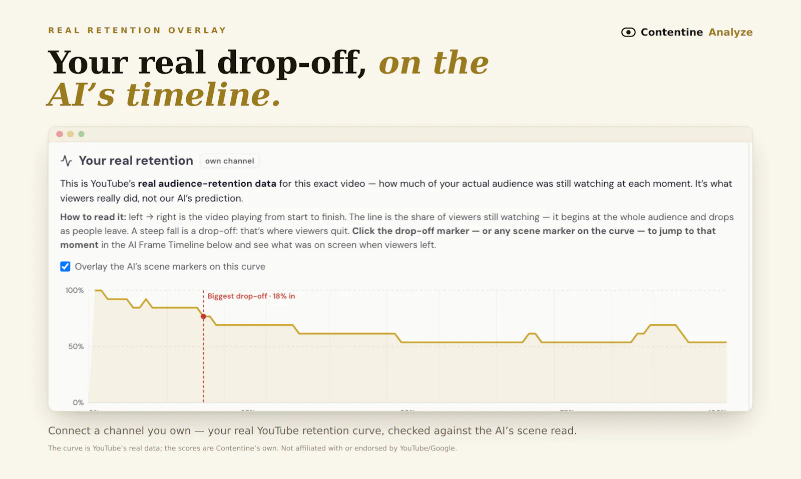 Contentine Analyze screenshot 5