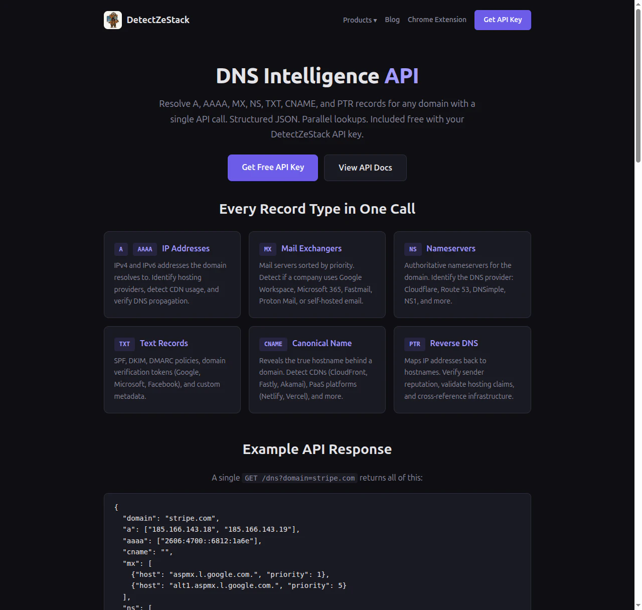 DetectZeStack — Website Intelligence API screenshot 2