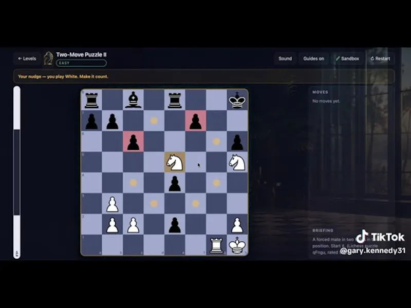 Nudge Chess screenshot 1 (video preview)
