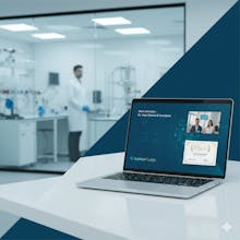 Support Lives gallery image