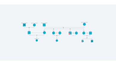 FamilyAxis - Genogram Creator gallery image