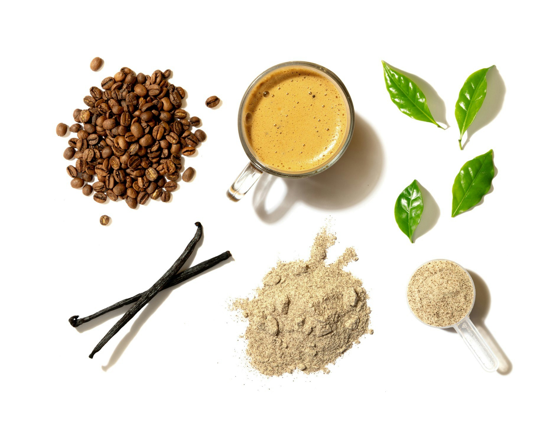 وسائط قهوة عمالقة - تعرف على Latte ⚡ ⚡ ⚡ ⚡ ⚡ ⚡ ⚡ ⚡ ⚡ ⚡ ⚡ ⚡ ⚡ 6