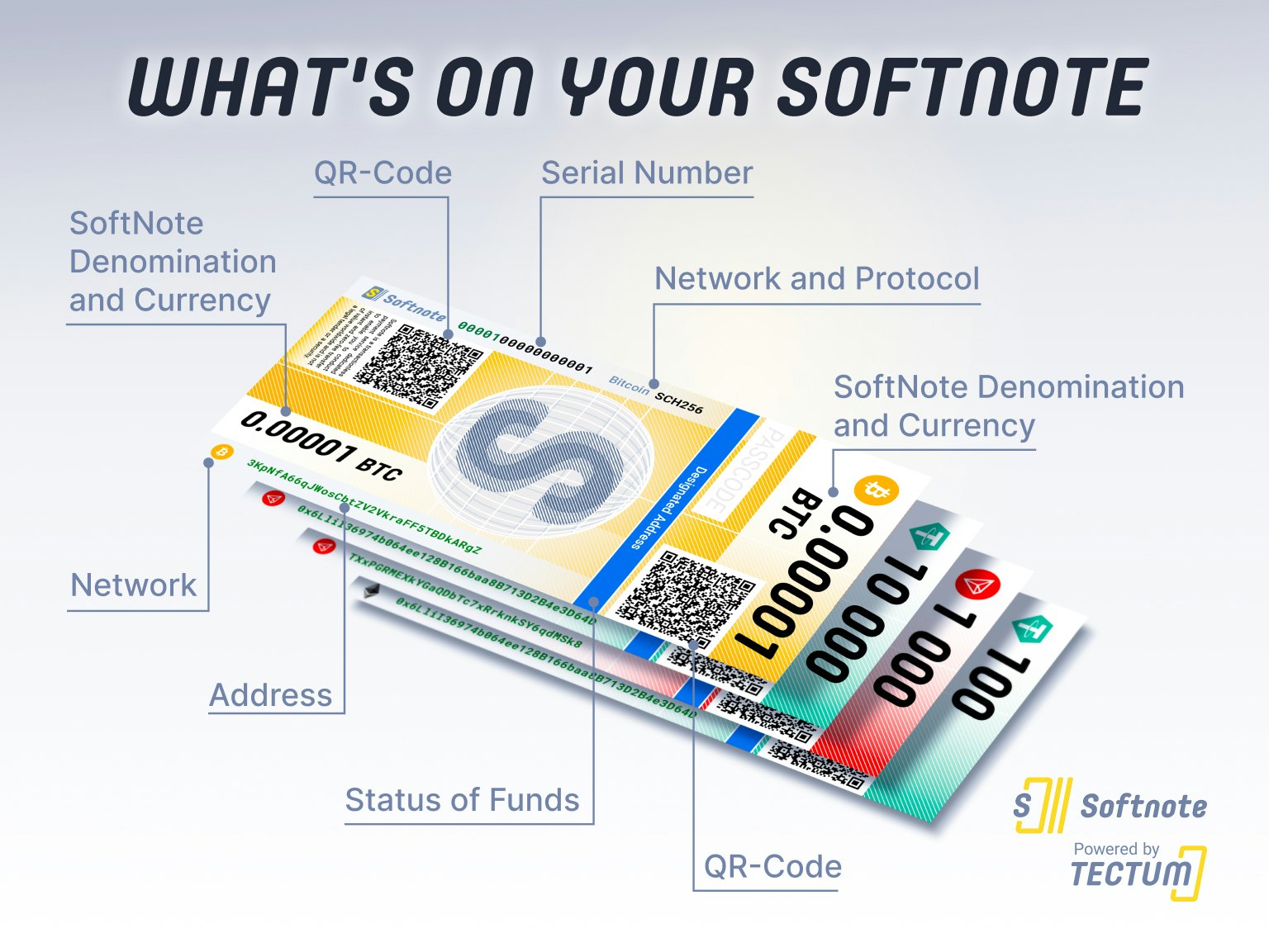 Nota soft media 3