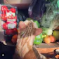 Hungry Harvest