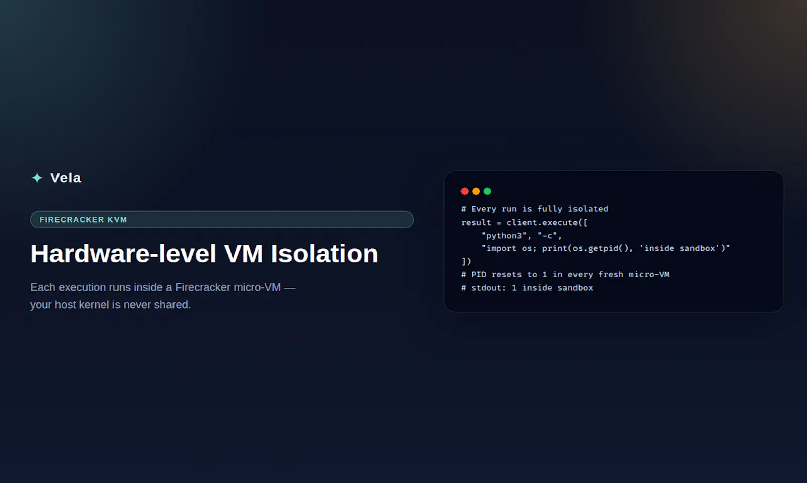 VELA screenshot 2