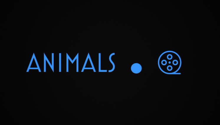 Mídia 1 de Animals.Film - Animais para produções criativas