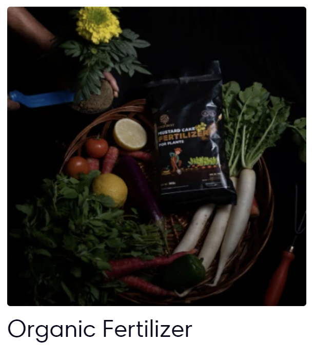 Organic Fertilizer For Plants