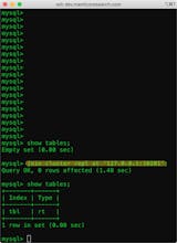 Manticore Search gallery image