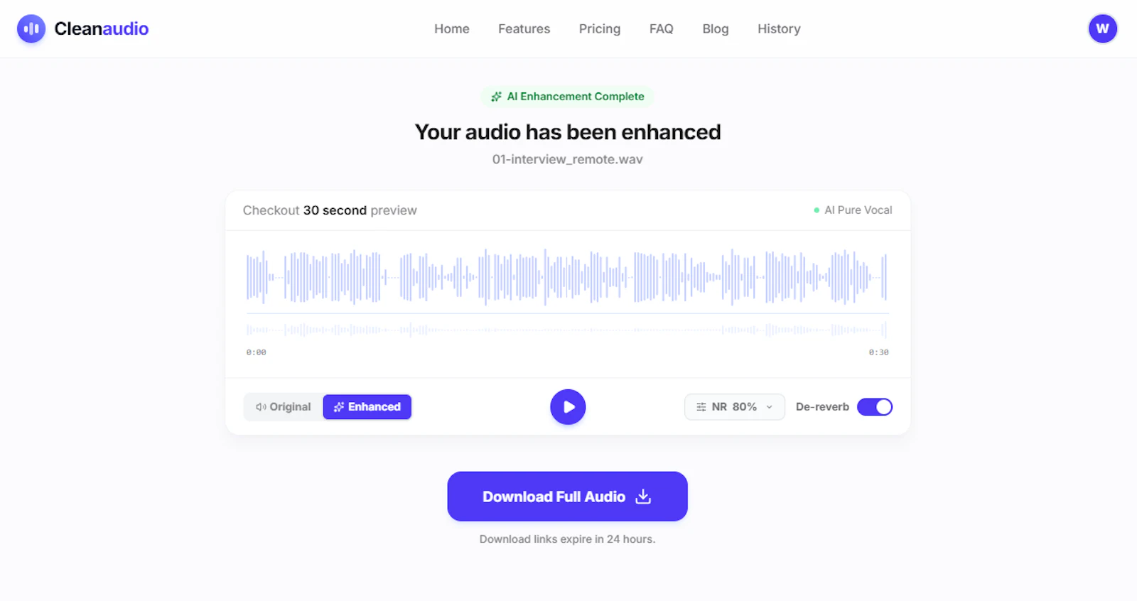 CleanAudio AI screenshot 3