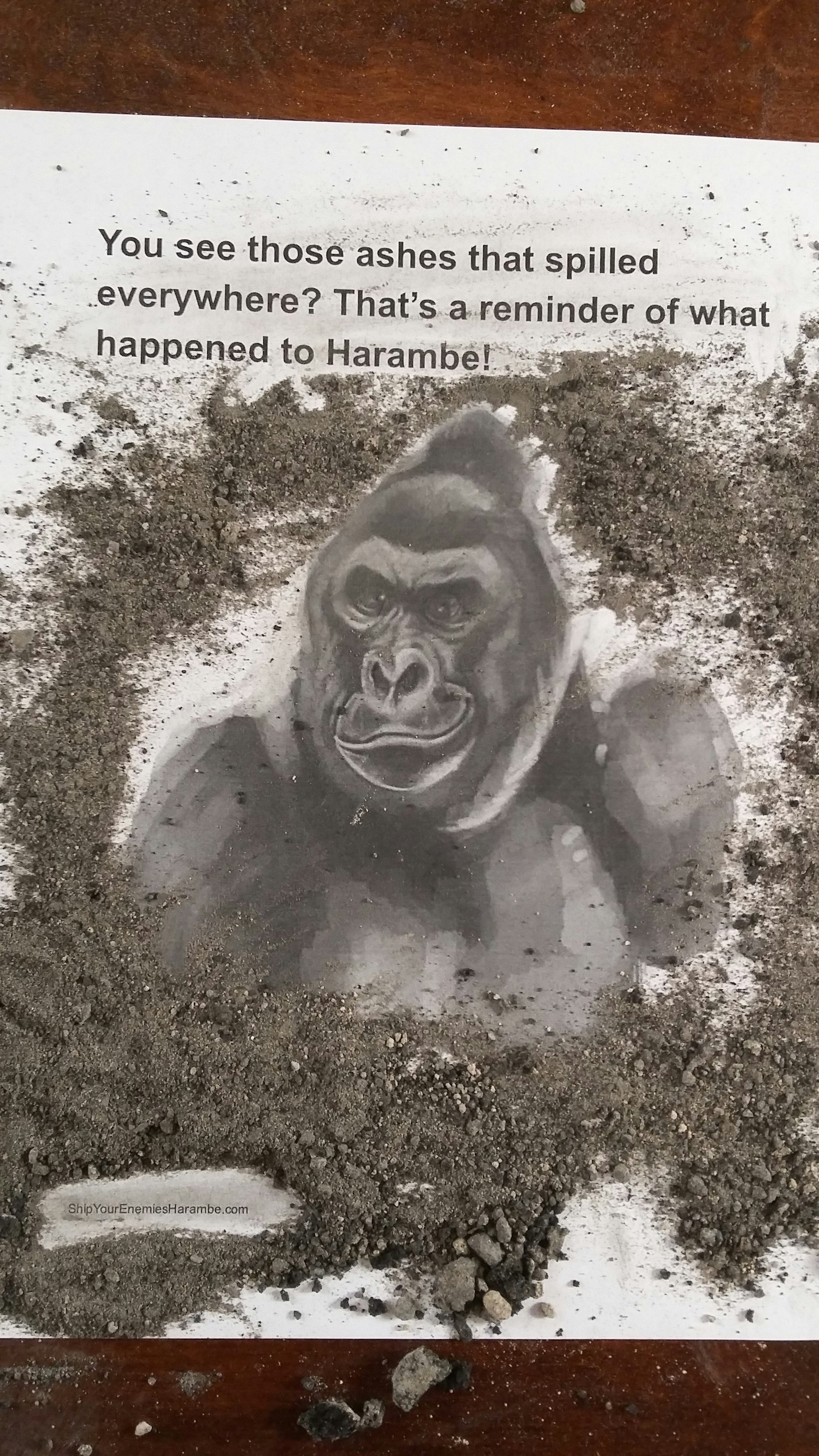 Ship Your Enemies Harambe gallery image