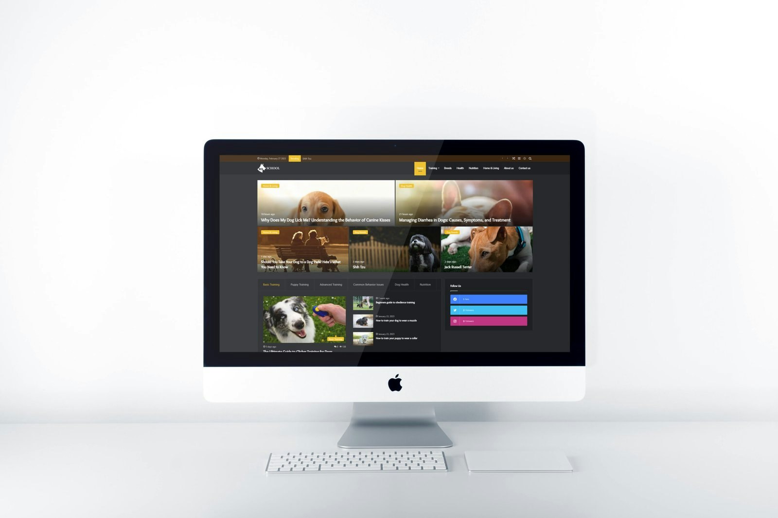 Libava Softworks - Affordable web development & design services media 1