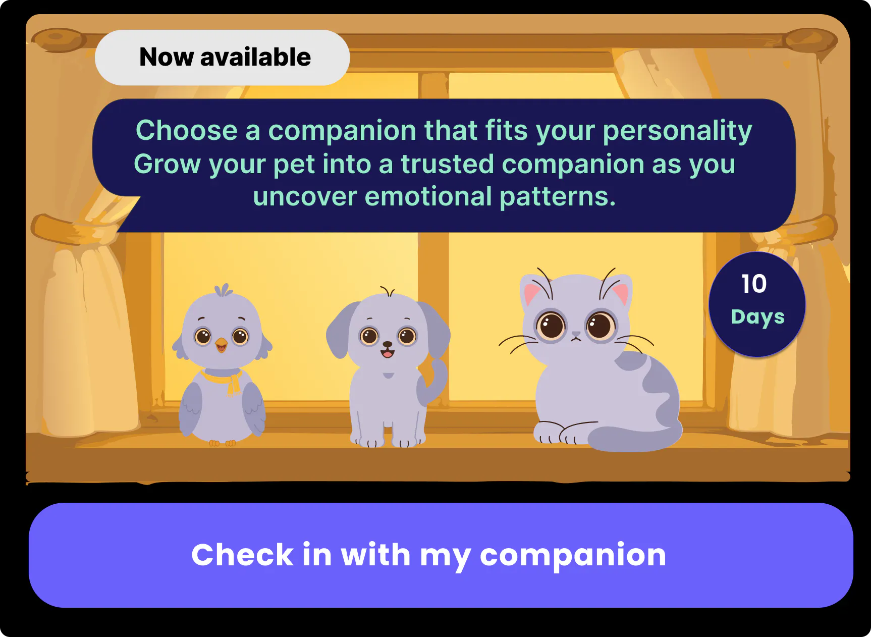 CoFeel gallery image