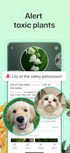 PictureThis 2.0 gallery image