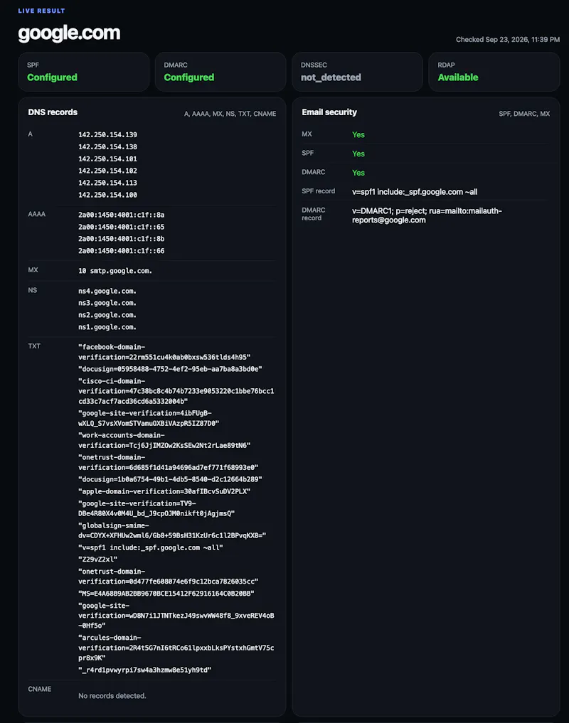 Domain Intelligence API screenshot 1