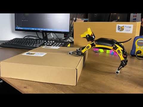 Bittle gallery image