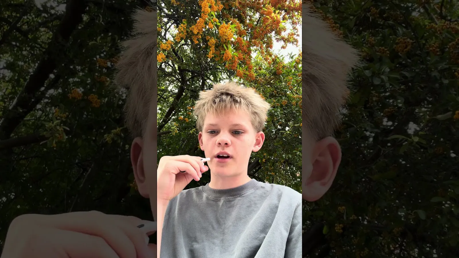 Study AI screenshot 1 (video preview)