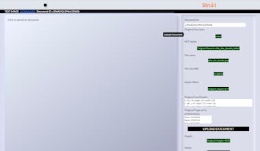 Strukt gallery image